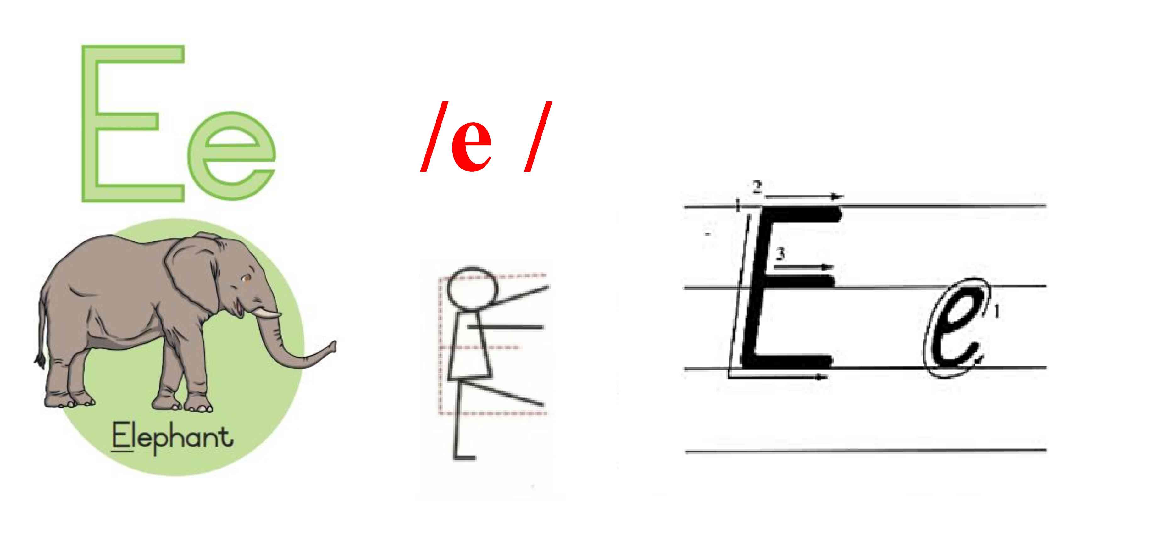 E