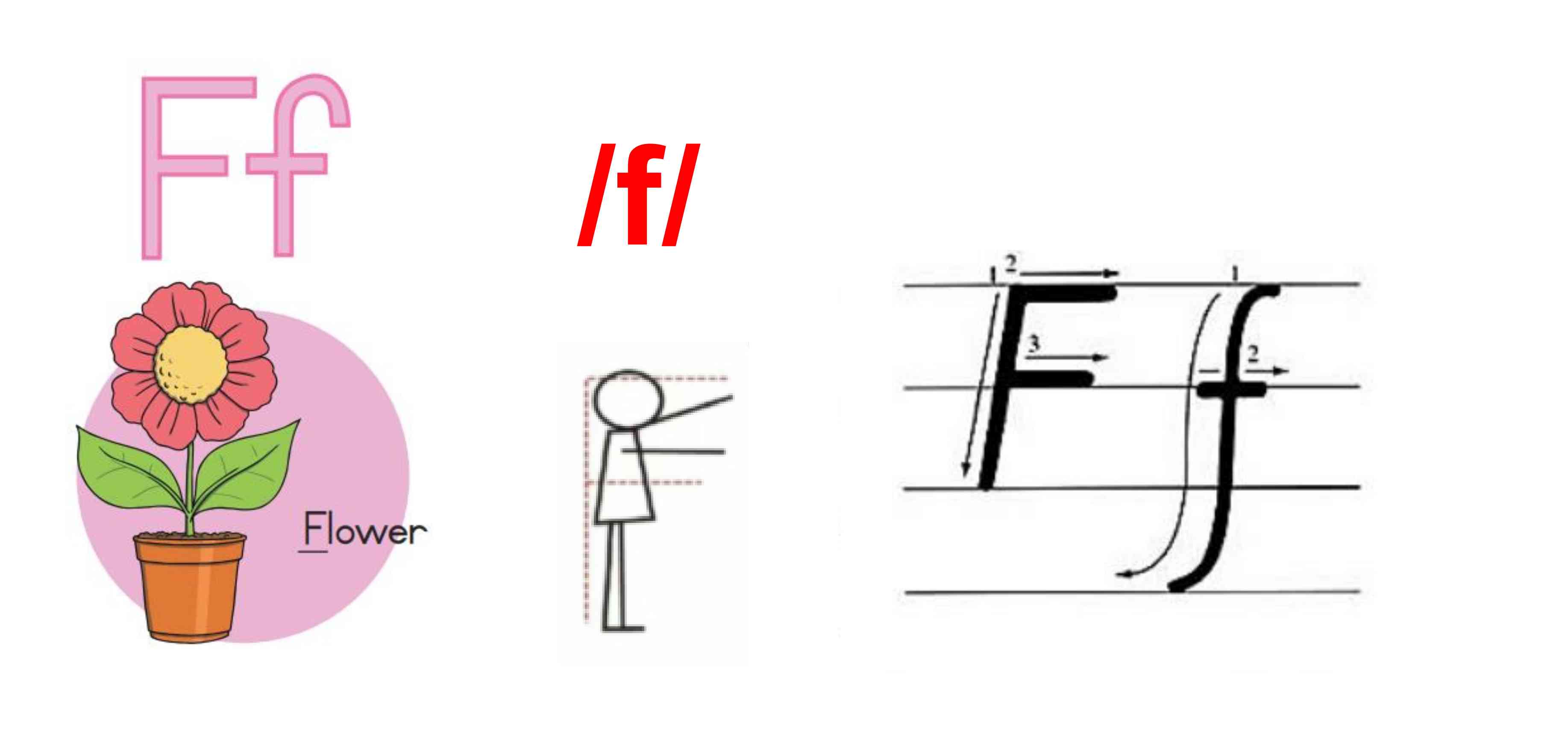 F