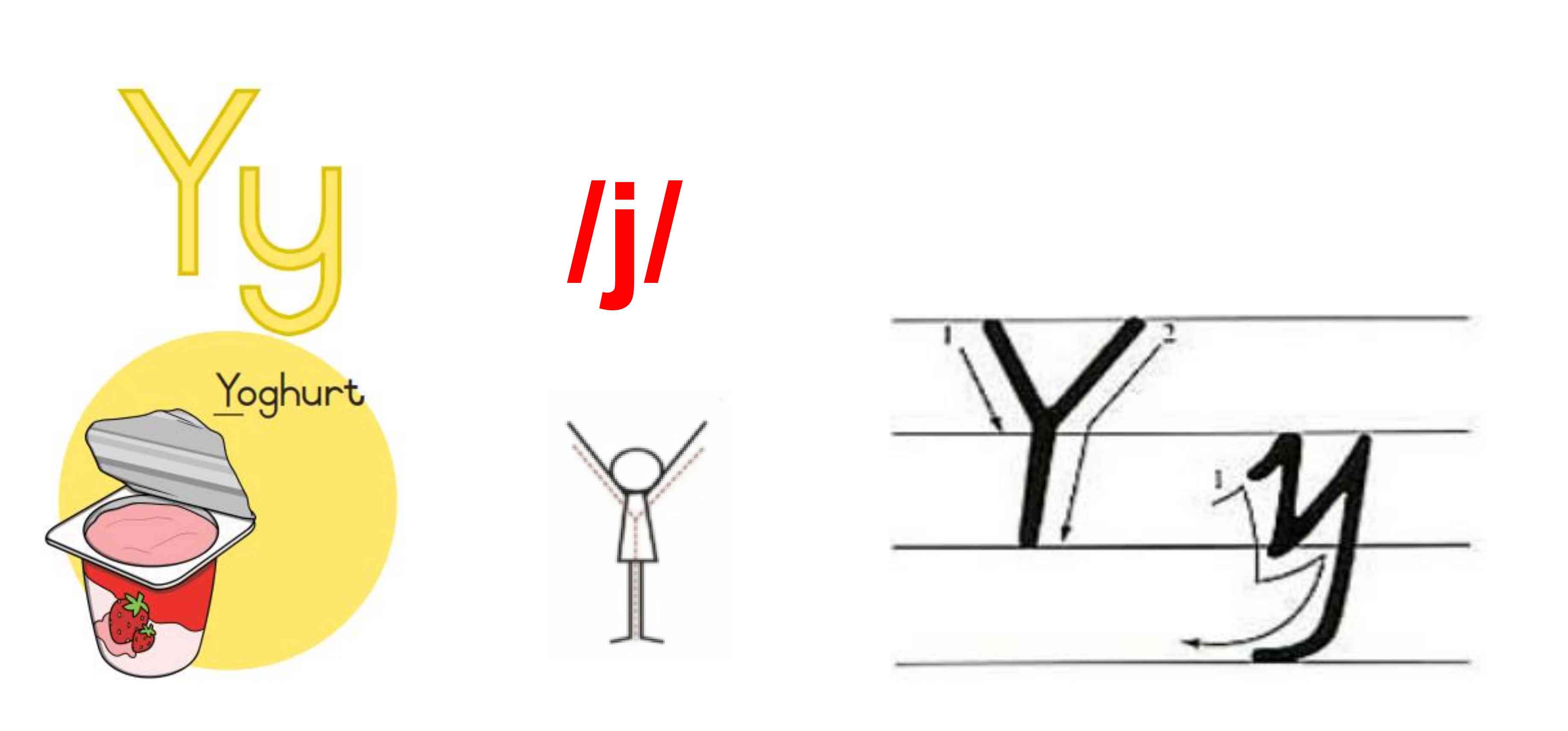 Y